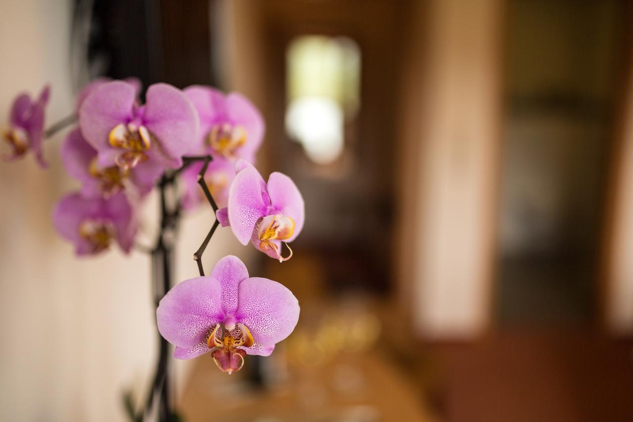 Hotel Zehnthof อือร์ซิก ภายนอก รูปภาพ