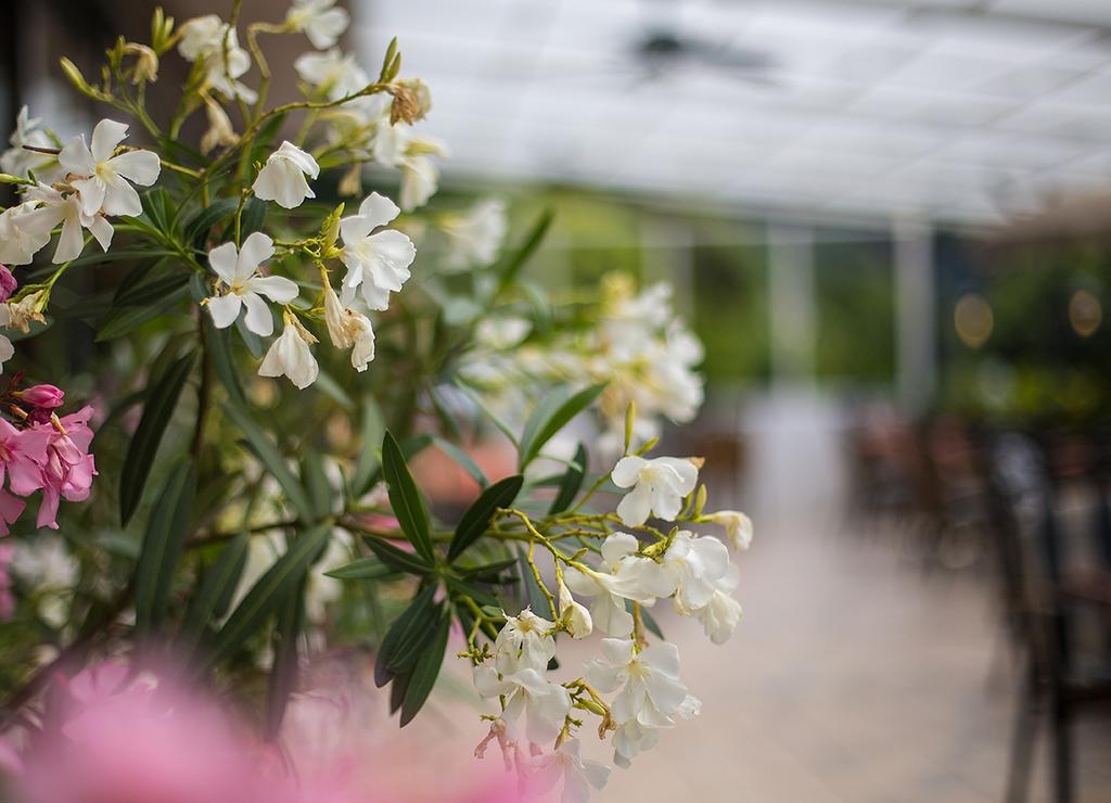 Hotel Zehnthof อือร์ซิก ภายนอก รูปภาพ